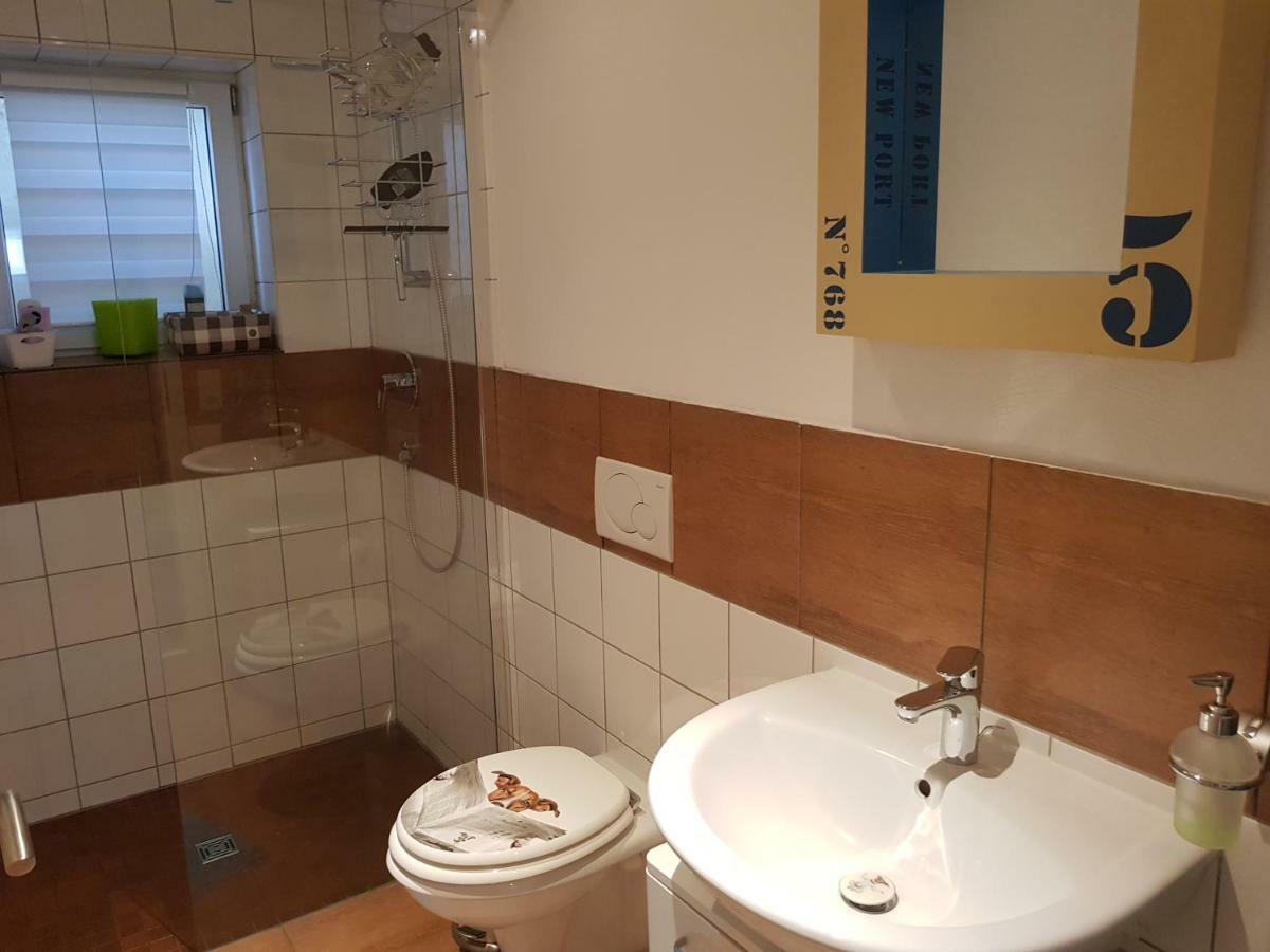 Jules Traum Im Schwarzwald Apartment Herrischried Екстериор снимка