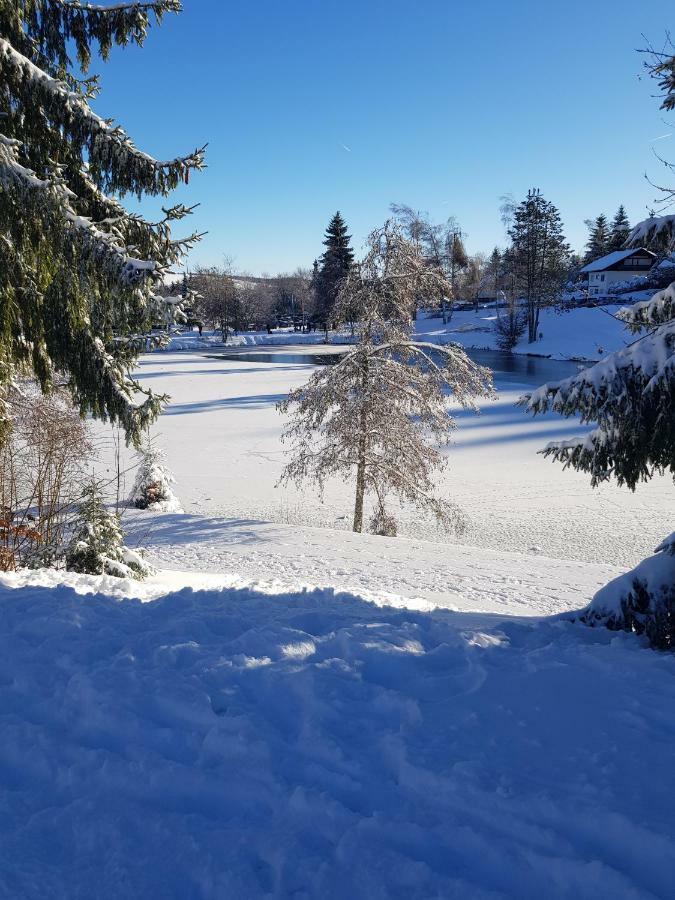 Jules Traum Im Schwarzwald Apartment Herrischried Екстериор снимка
