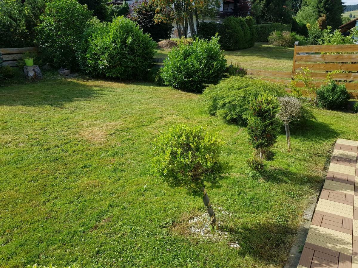 Jules Traum Im Schwarzwald Apartment Herrischried Екстериор снимка