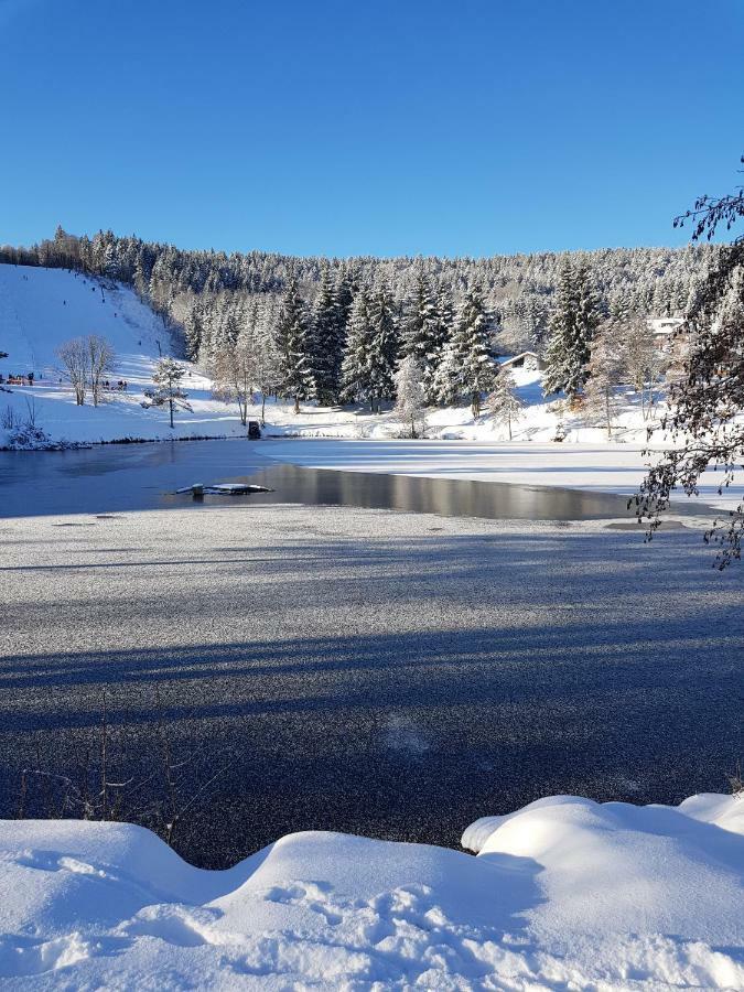 Jules Traum Im Schwarzwald Apartment Herrischried Екстериор снимка