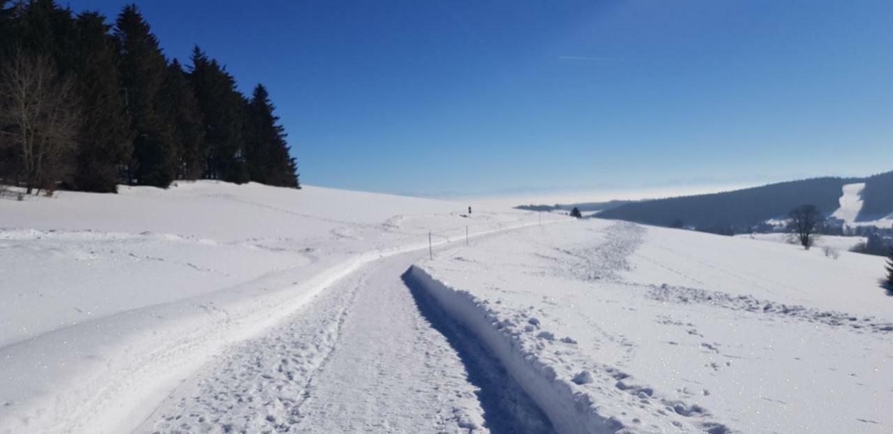 Jules Traum Im Schwarzwald Apartment Herrischried Екстериор снимка