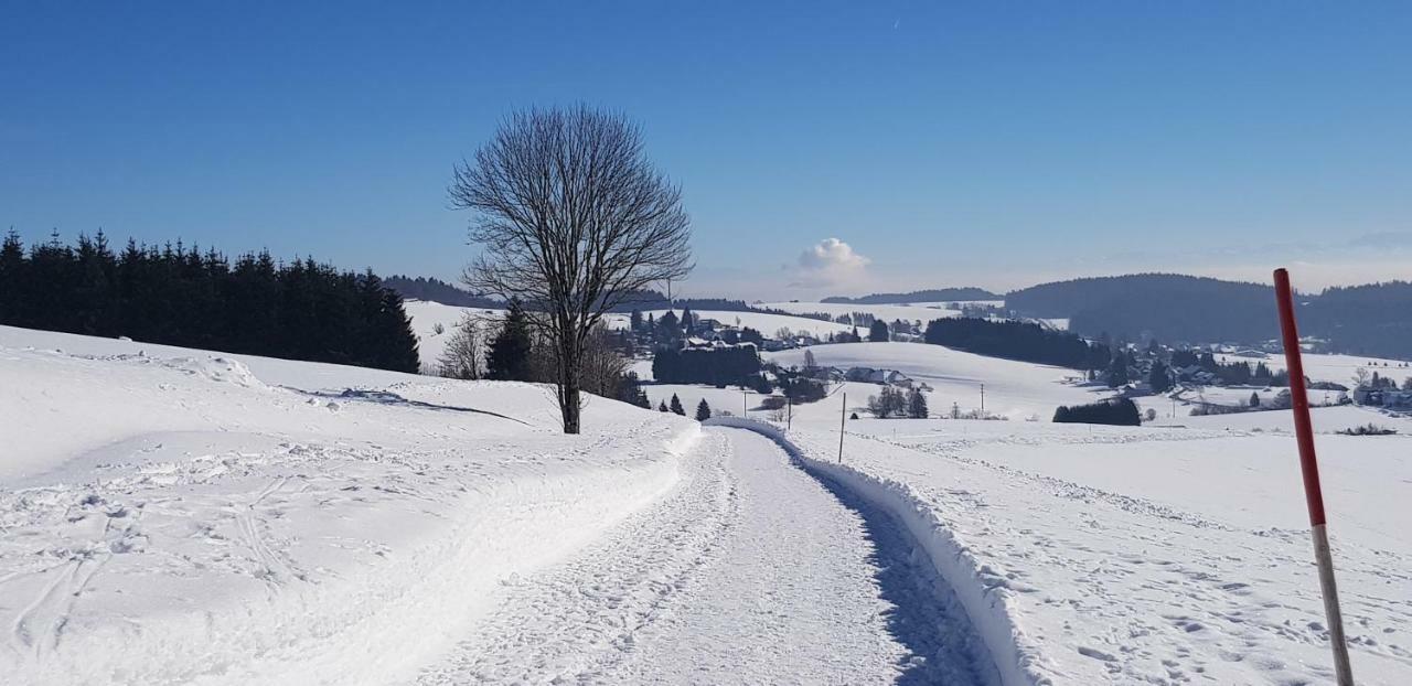 Jules Traum Im Schwarzwald Apartment Herrischried Екстериор снимка